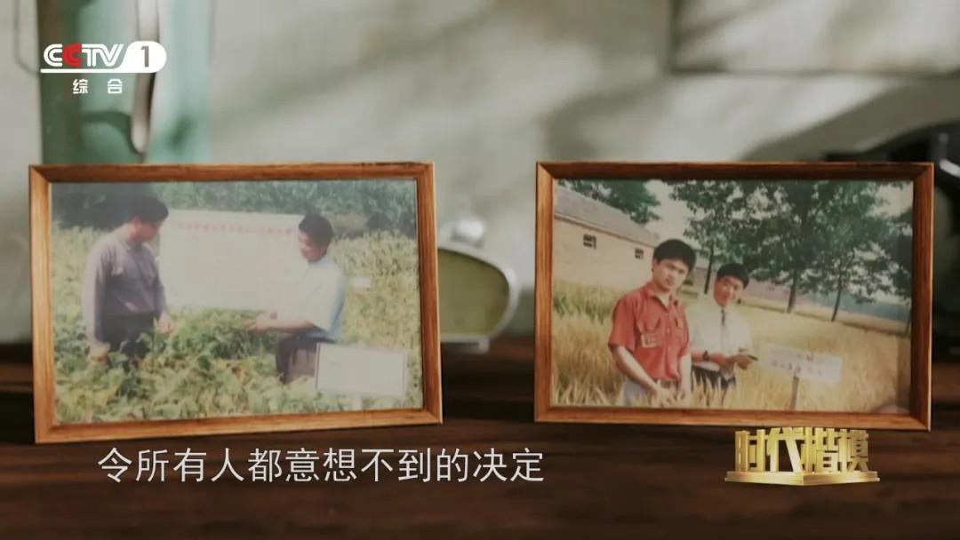 多种粮、种好粮的他被授予“时代楷模”