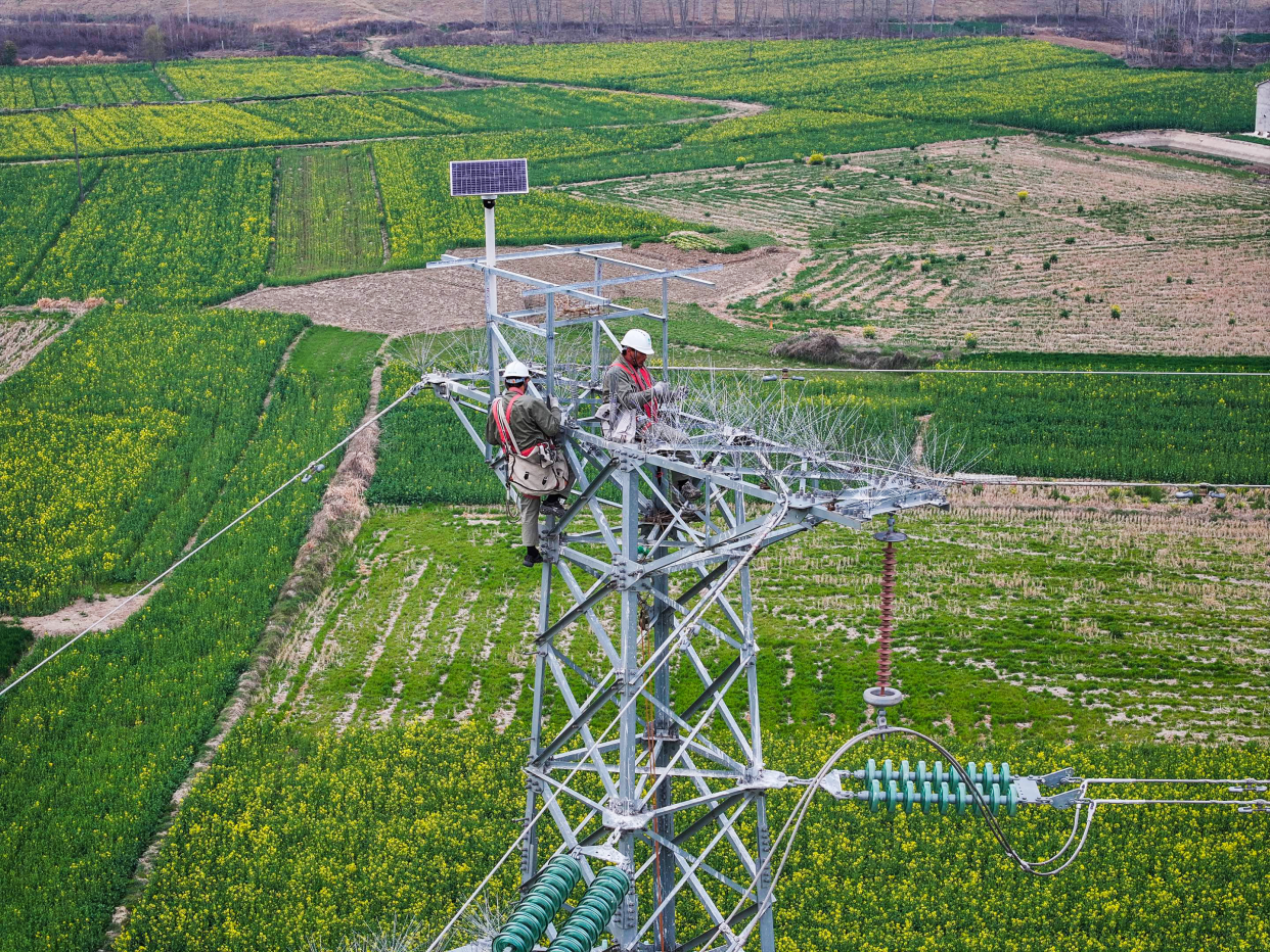 State Grid Jingmen Power Supply Company Implements "Bird + Line Protection" Strategy, Completes First Bird Perch Installation_fororder_图片5