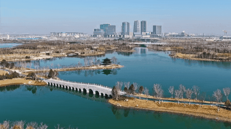 时政微纪录丨习近平总书记雄安行