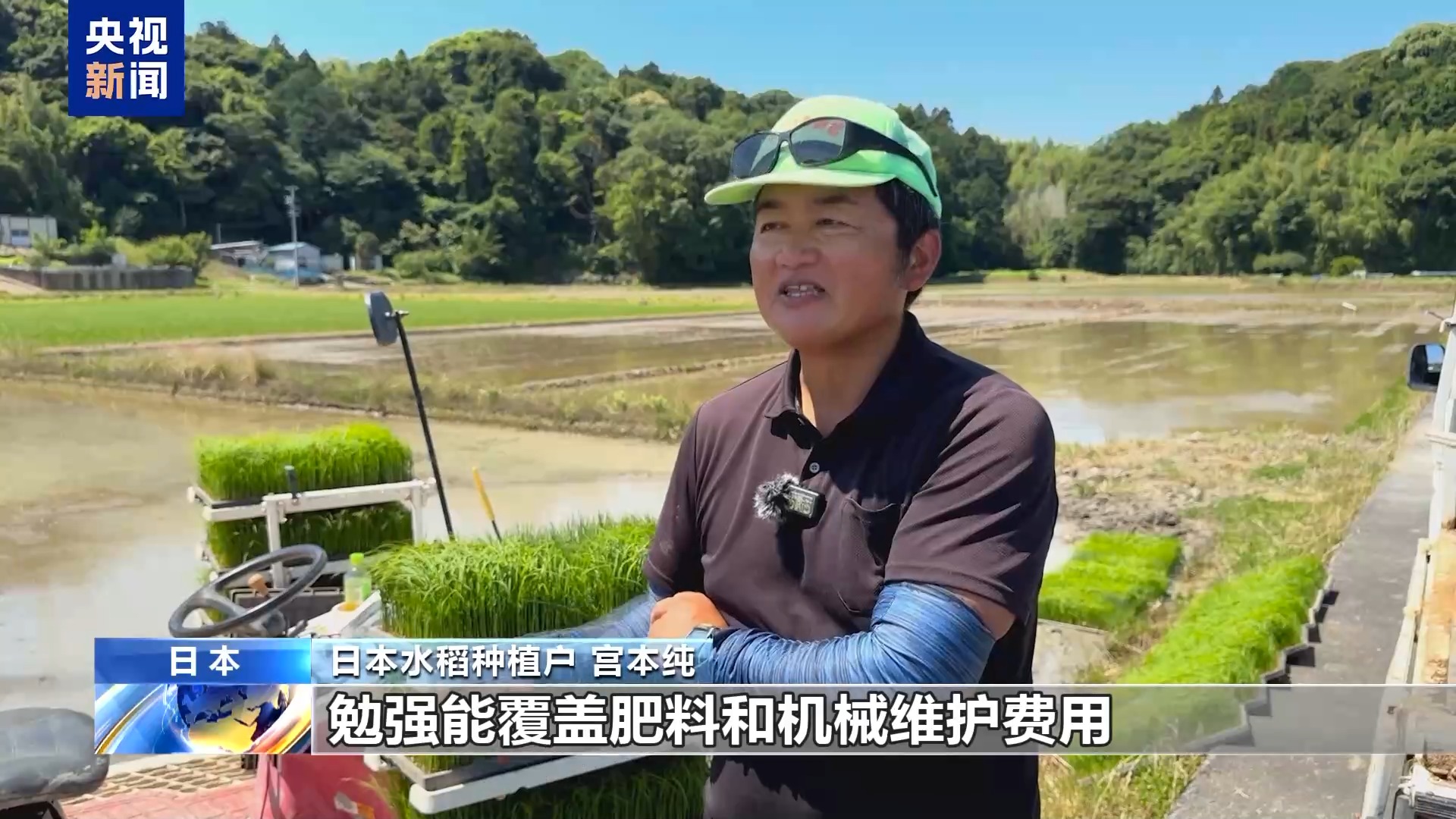 总台记者观察丨日本米农：种植面积锐减、成本上涨 米价难降