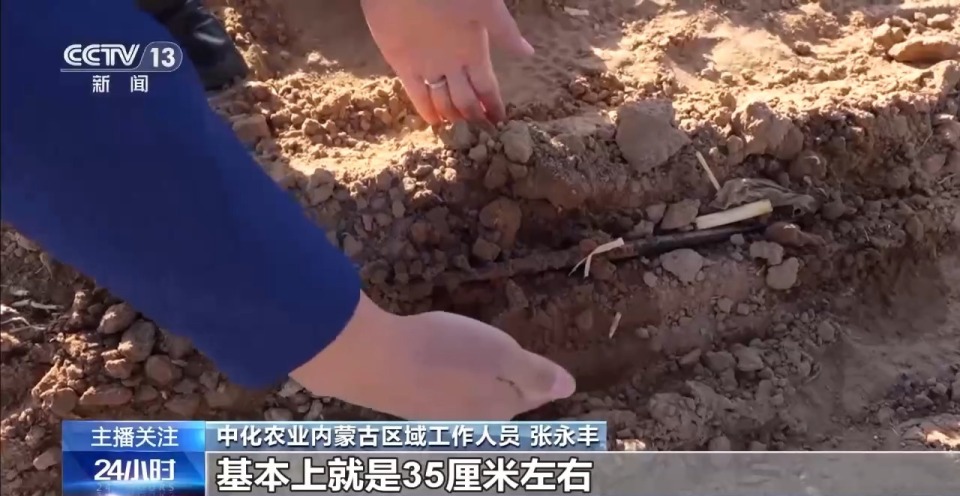 春意浓，农事兴 多地春耕春播有序进行中