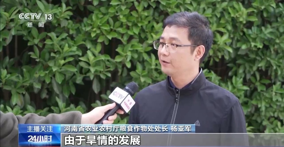 春意浓，农事兴 多地春耕春播有序进行中