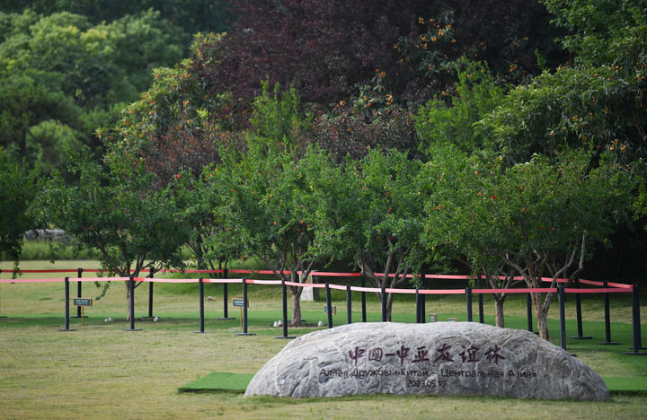“携手开创这个星球更加美好的未来”——习近平主席引领中国特色大国外交在世界变局中展现时代担当