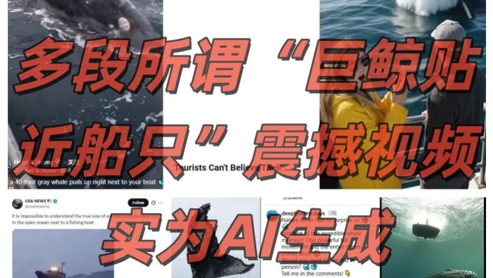 真相来了｜鲨鱼带幼崽、巨鲸贴近船只？这些画面有假