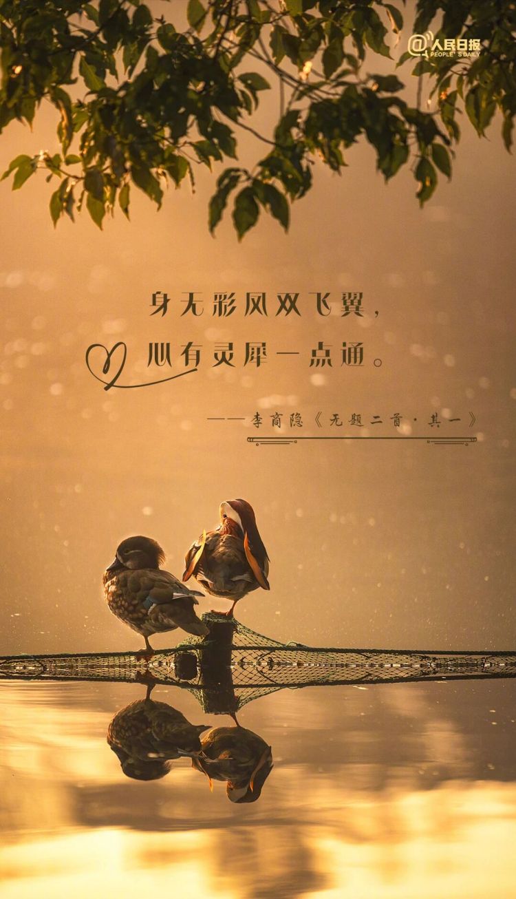 句句不提爱，句句都是爱