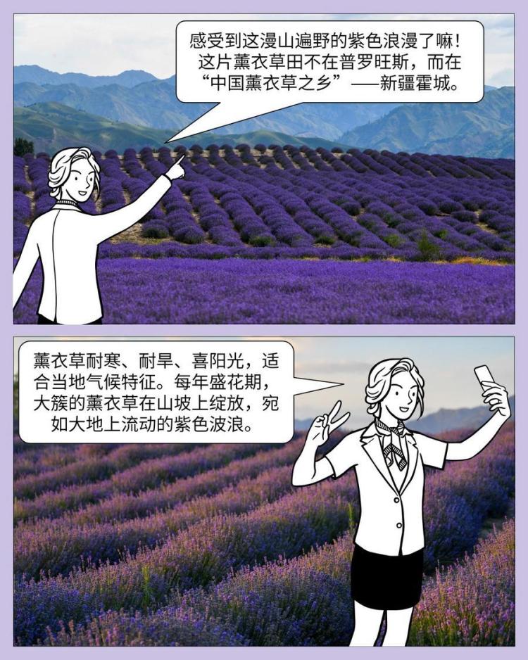 中国印记｜微缩摄影看新疆：产业篇_fororder_XxjpbeC000373_20250929_CBMFN0A004