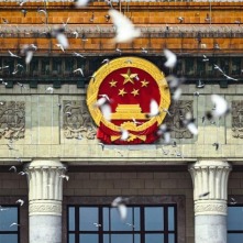 “中国始终是维护世界和平稳定的关键力量”