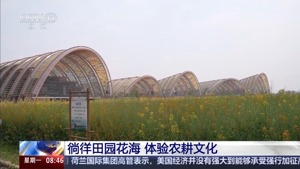 以花为媒 农耕文化玩出了新花样