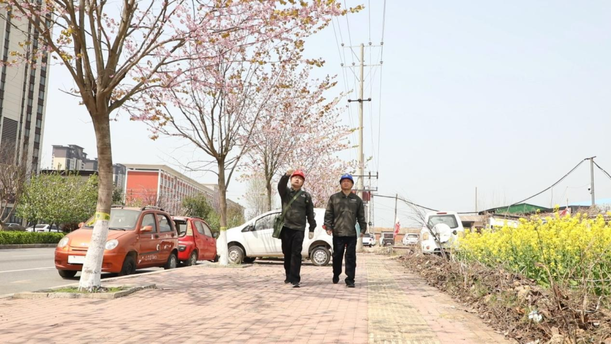 Nanyang: Sufficient Power Precisely Empowering Rural Industry Development_fororder_图片3