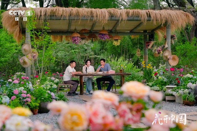 《花开中国》开播，在繁花中遇见美好生活
