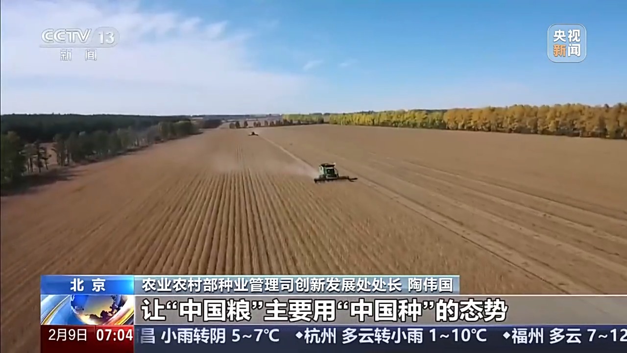 让“中国粮”主要用“中国种” 我国完成种业振兴“五年见成效”目标