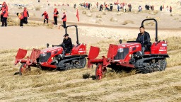 甘肃武威：金网锁流沙 春风绿大地