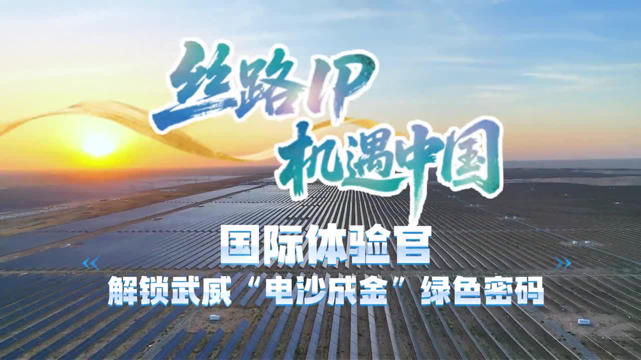 丝路IP 机遇中国｜戈壁焕新 国际体验官解锁武威“电沙成金”绿色密码