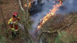 视频丨法国多地林火肆虐 枫丹白露森林出现复燃