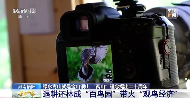 “两山”理念提出二十周年：绿水青山千秋画 万里江山共此卷