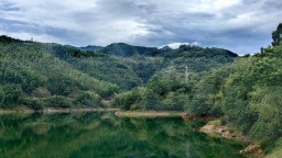 铭记历史 缅怀先烈丨红绿生“金” 大别山老区“焕”新景