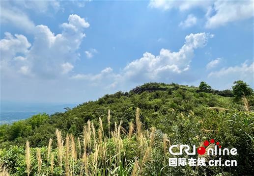 追寻抗战记忆｜影珠山：倭寇未曾留片甲，英魂驻此障长沙_fororder_06