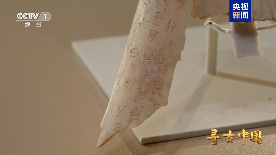 甲骨文记录了什么样的商朝社会生活？