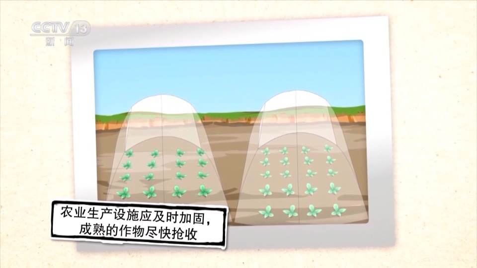 大风是怎么形成的？为何春季如此频繁？一文了解