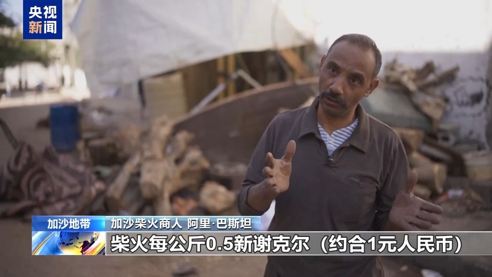 新年将至 燃料短缺 深陷战火的加沙民众拾柴砍树取暖做饭