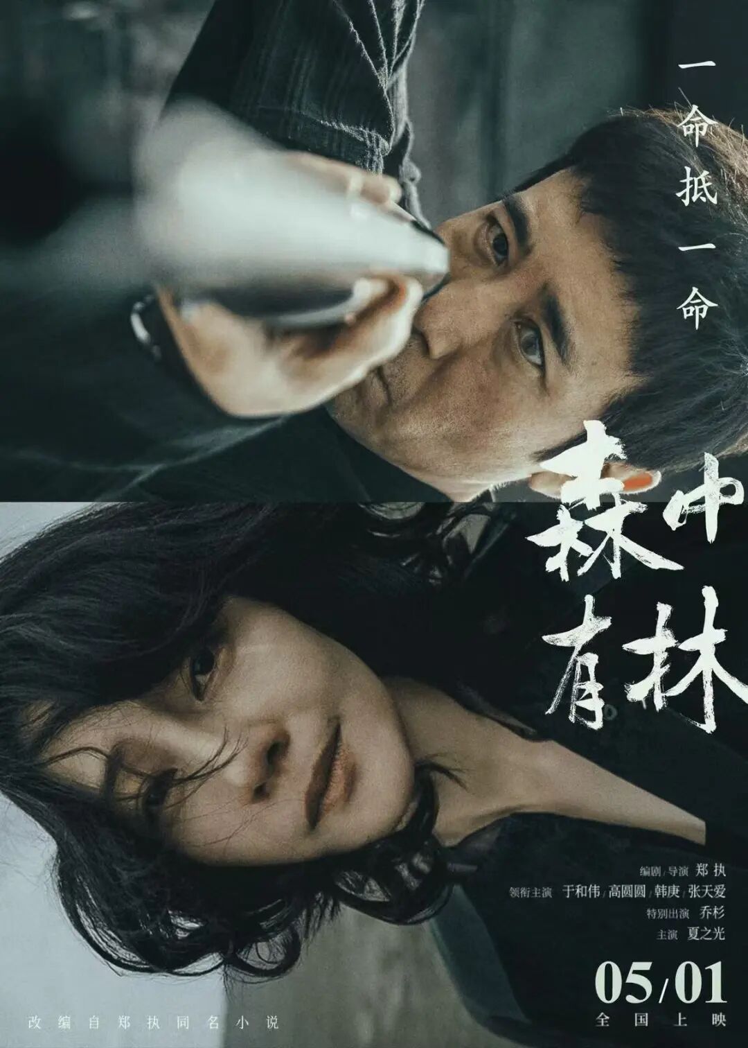 五一档17部新片集结！你最期待哪一部？