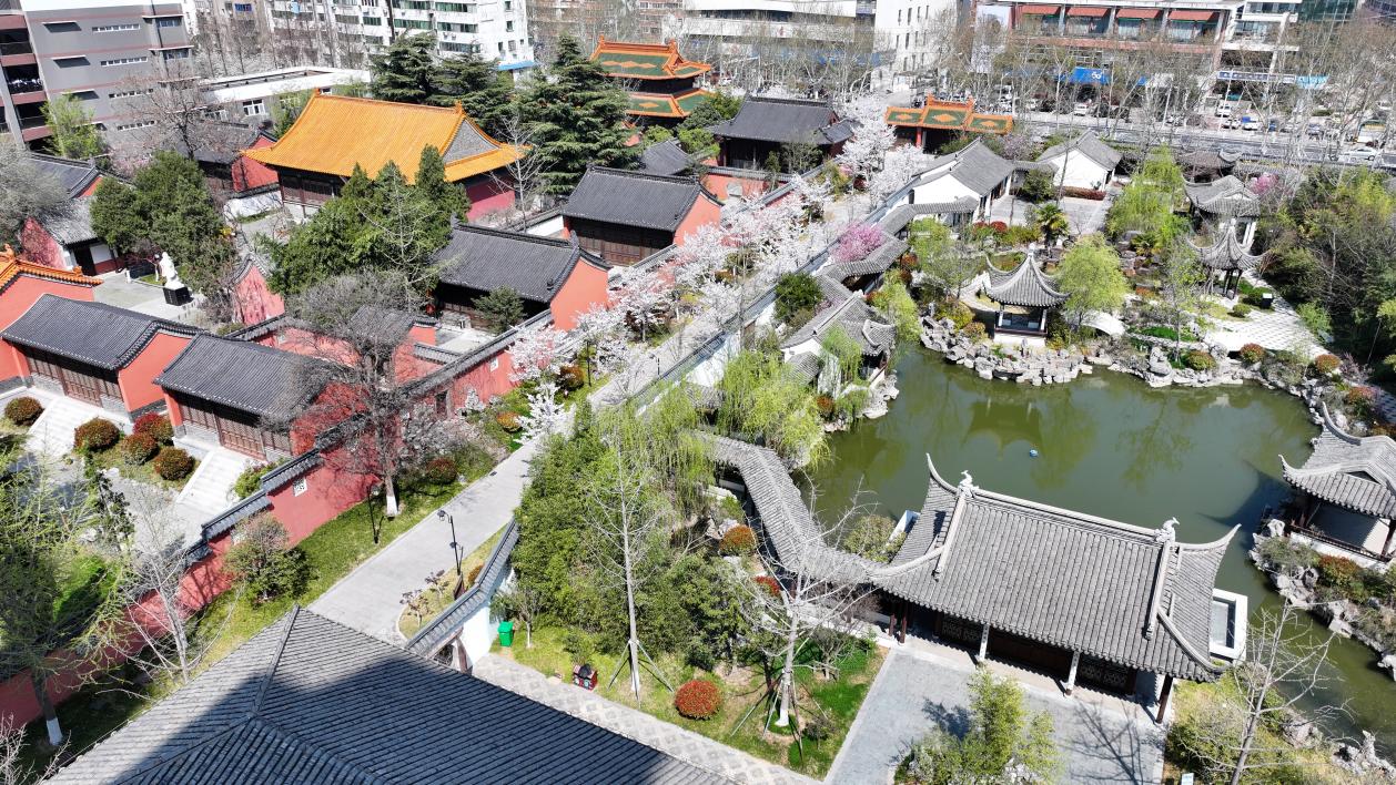 文化中国行｜春花古建两相宜·书声琅琅处，百年孔庙展芳华