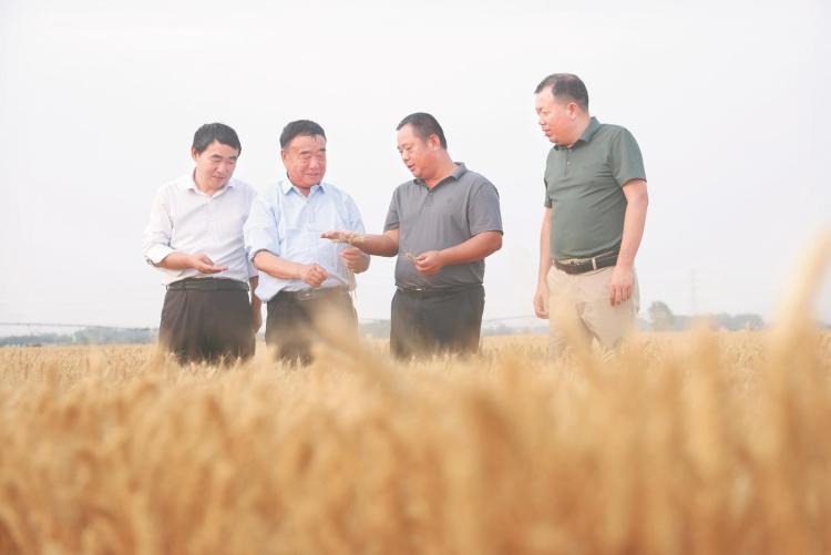 新时代农民典范 徐淙祥_fororder_4e4fe5c3-243c-4e61-9e21-8882ab361280