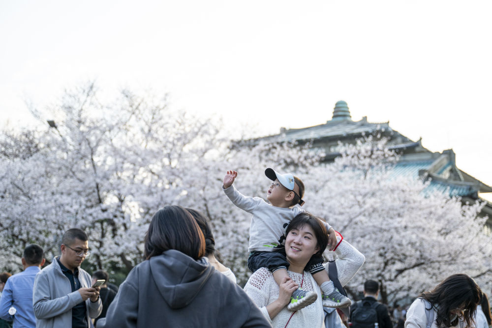 消费提质扩容 内需市场澎湃新潮涌动