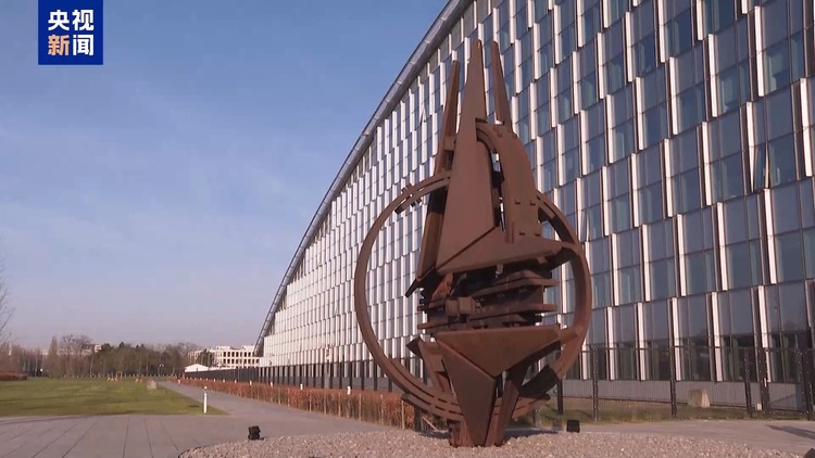 俄赞同重启涉乌对话 欧洲多国酝酿组建乌克兰“保障”部队