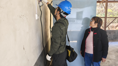 Nanyang, Henan: Stable Power Supply Supports the Growth of Dendrobium Industry