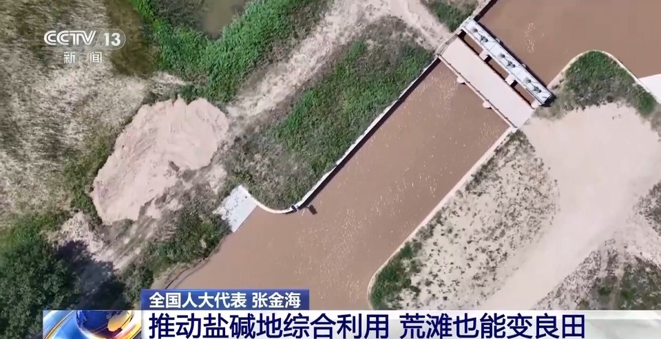 怎样培育耐盐碱经济作物？这位全国人大代表的建议来了