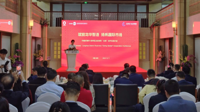Longhua, Shenzhen Unveils Action Plan for Industrial Globalization Alliance
