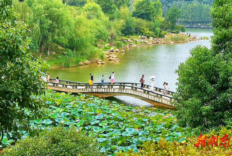 图片默认标题_fororder_1