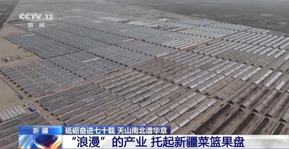 砥砺奋进七十载 天山南北谱华章丨沙漠上的“浪漫”产业 托起新疆菜篮果盘