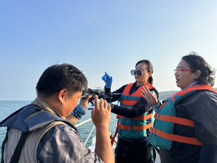 资讯有故事丨携手有“鲸”喜！中泰联合守护布氏鲸的海洋家园