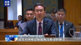 安理会未能通过延长伊朗制裁豁免决议草案 中方深表遗憾