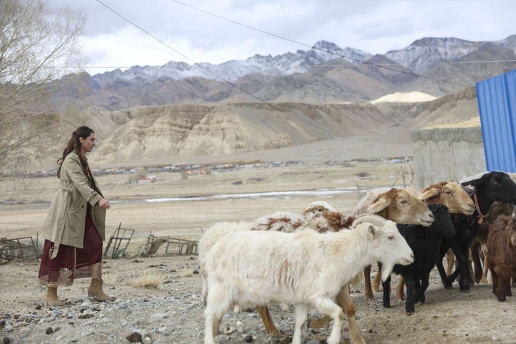 从马背上出发,她成为我国首位塔吉克族列车长