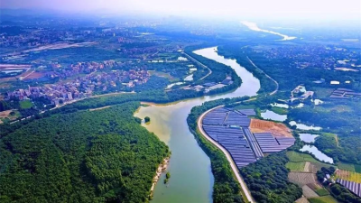 Small Cut, Big Change: Zhongluotan's "100-1000-10000 Project" Creates a New Blueprint for Common Prosperity