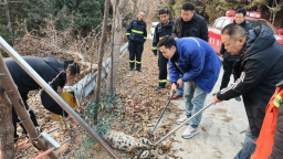 天津市蓟州区首次解救国家二级保护动物