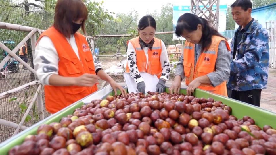 新华视点｜特色农业挖潜力 丰收喜悦满田间
