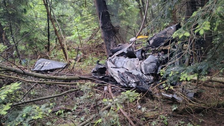 一架直升机在波兰南部坠毁 造成1人死亡