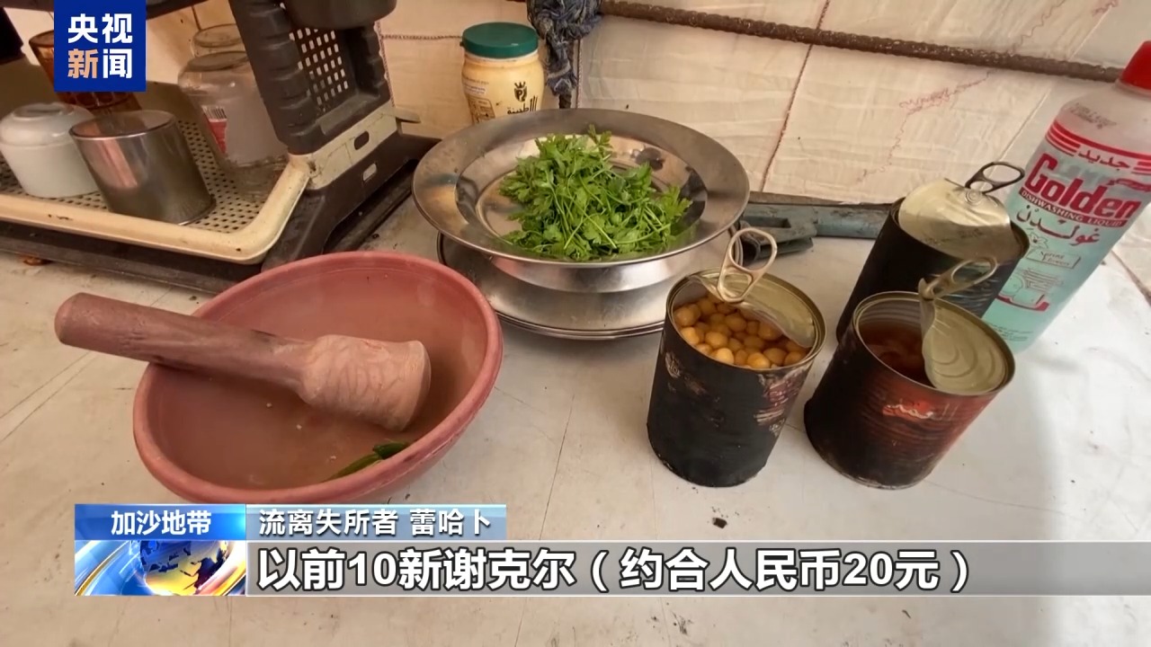 物资封锁、缺少食物 加沙人正在生死边缘挣扎