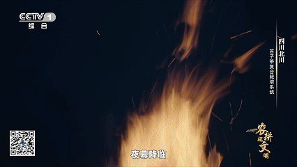 “云朵上”的羌茶，见证山地农耕的奇迹