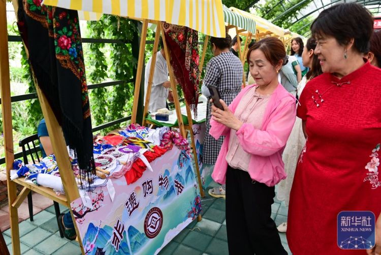 新疆霍城：以花为媒促发展