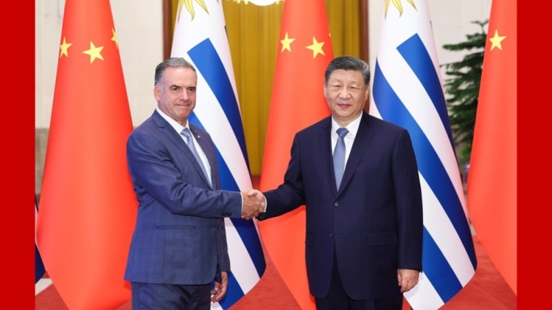 习近平：让中乌友谊之树愈加枝繁叶茂