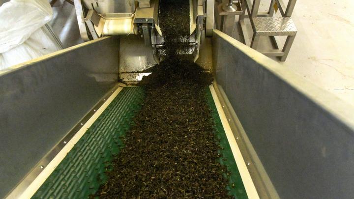 宝藏之城丨这座小城的茉莉花香飘世界