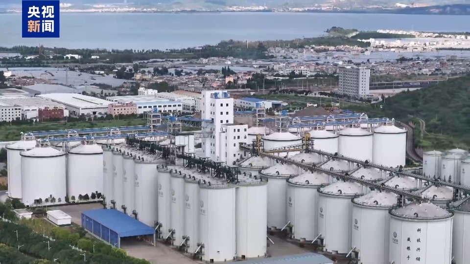 年中经济观察丨粮食住进“好房子” “油瓶子”工厂迎来“数字工友”