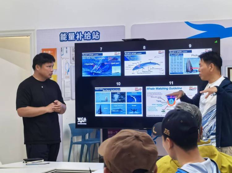 资讯有故事丨携手有“鲸”喜！中泰联合守护布氏鲸的海洋家园