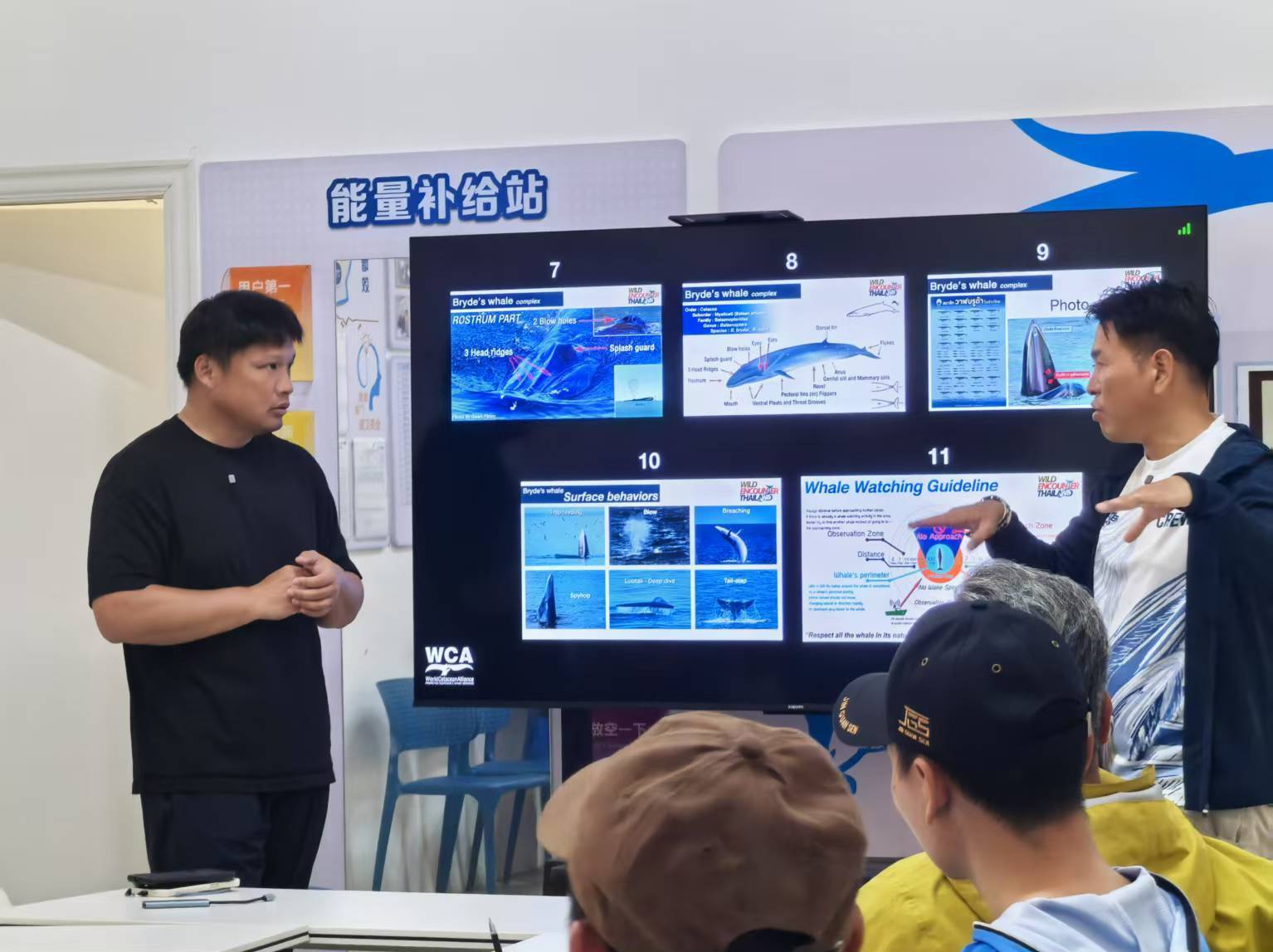 资讯有故事丨携手有“鲸”喜！中泰联合守护布氏鲸的海洋家园