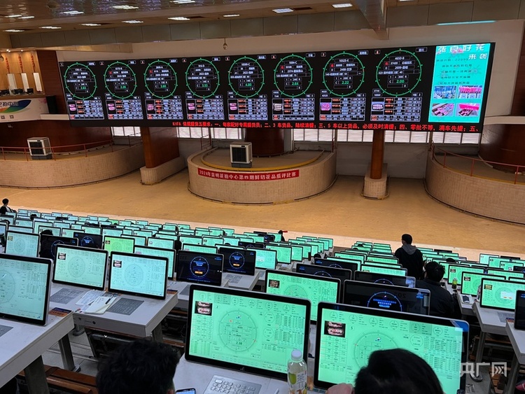 大市场看中国年 | 云南：斗南花卉购销两旺 满城皆是“年味”香